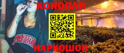 ПСИЛОЦИБИНОВЫЕ ГРИБЫ Нальчик