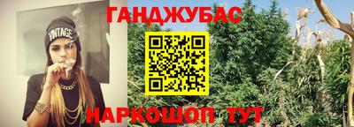 ПСИЛОЦИБИНОВЫЕ ГРИБЫ Нальчик