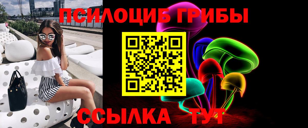 Галлюциногенные грибы мицелий  Вход с VPN  Соль-Илецк  Псилоцибиновые грибы Psilocybe 