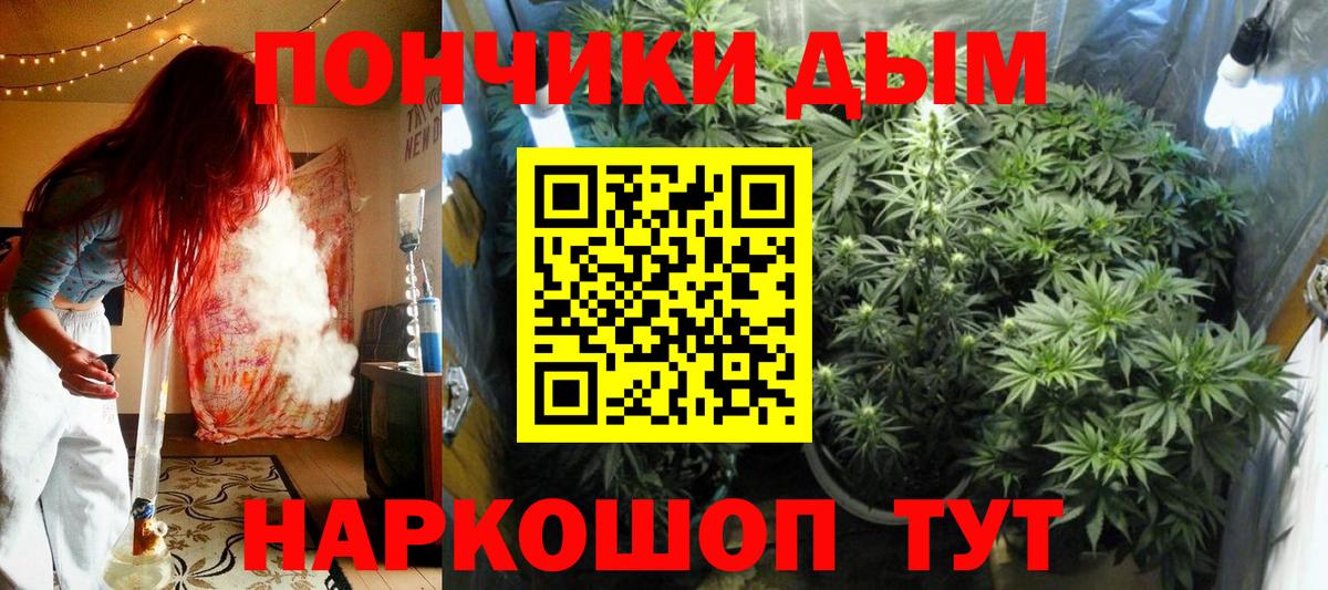 Бошки марихуана сатива  Марихуана тримм  Соль-Илецк  Каннабис тримм  Вход с VPN 